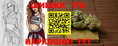 apvp Обь