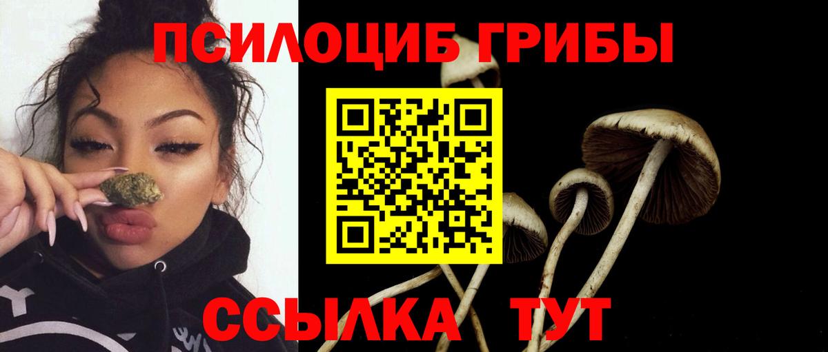 Галлюциногенные грибы Cubensis  Вход с VPN  сколько стоит  Ялуторовск 